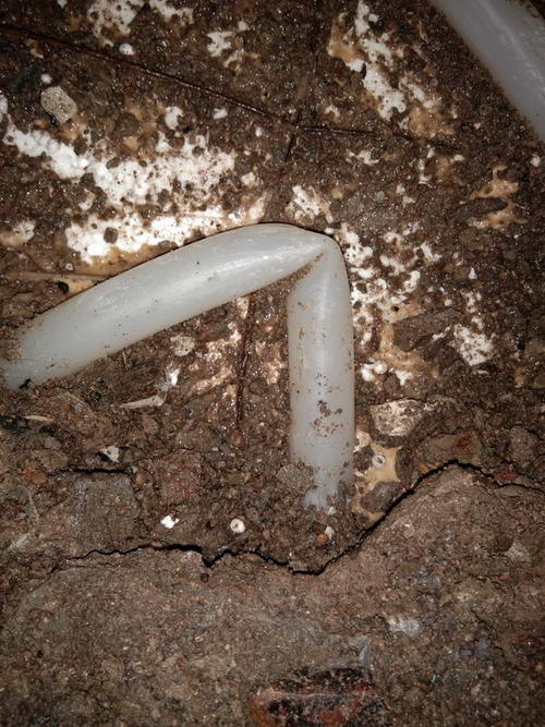 图们堵点精准查找